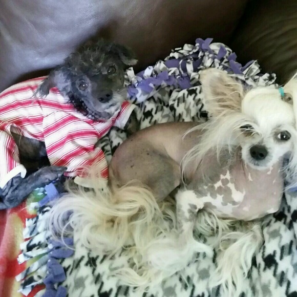 Meet your Posher, Tammy - Picture 1 of 1